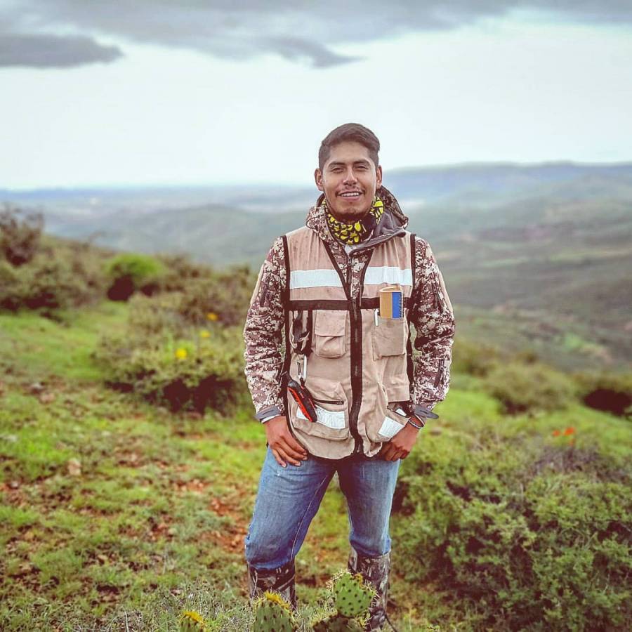 A causa de perros callejeros, peligran especies silvestres
