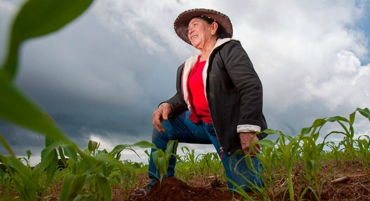 Mujeres del campo, población con alta vulnerabilidad