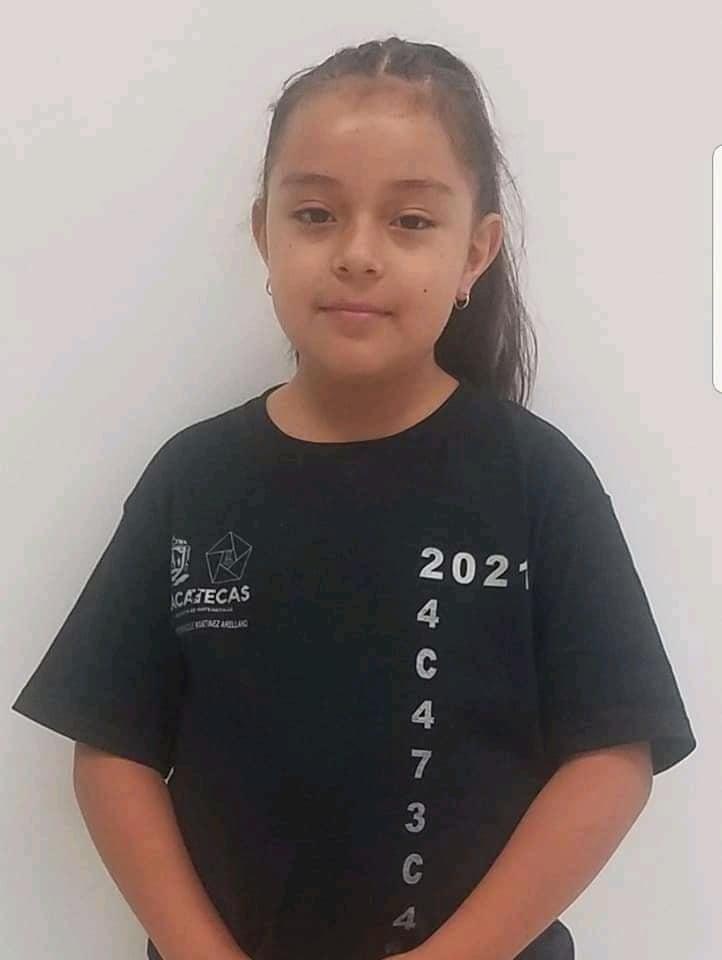 Ganan oro y bronce en competencia de matemáticas