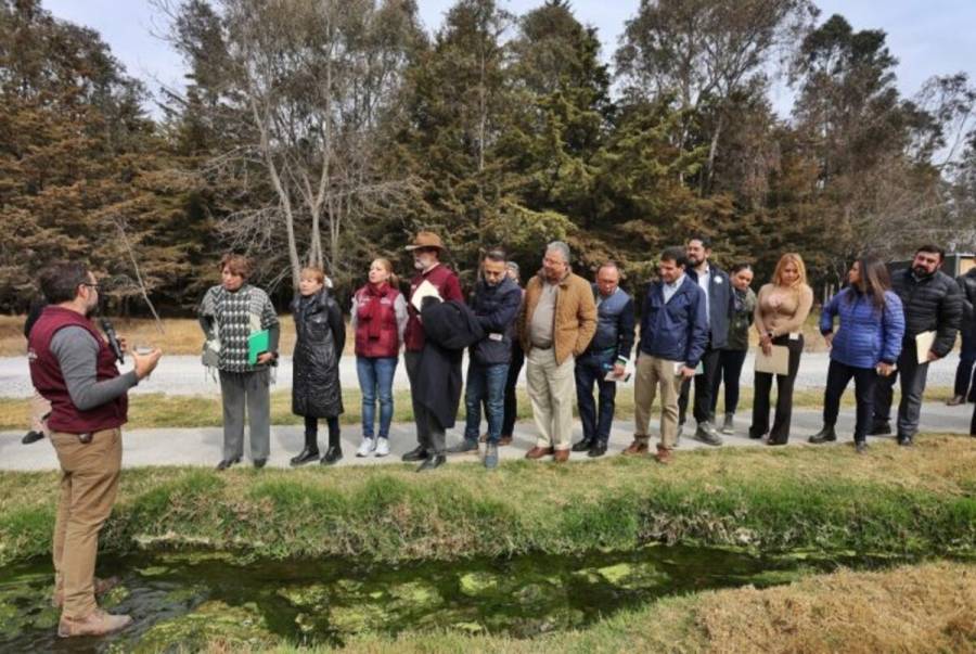 Impulsa Delfina Gómez plan de recuperación de humedales en Edomex