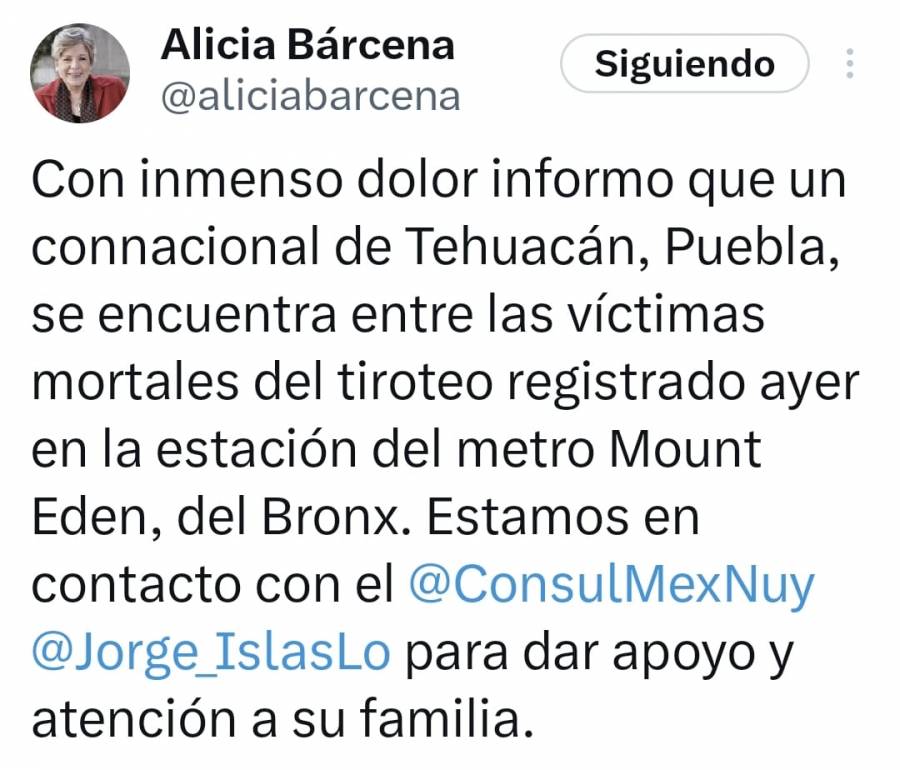 Mexicano es la víctima mortal en tiroteo en Metro de NY; fue alcanzado por una bala pérdida: SER