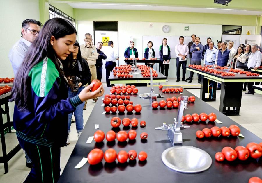 Alumnado del CECyTEM desarrolla cultivos hidrop&oacute;nicos de jitomate
