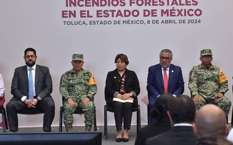 Incendios forestales en el Estado de M&eacute;xico dejaron cerca de 15 mil hect&aacute;reas afectadas: Probosque