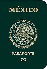 Viola SRE derechos humanos en pasaportes, por registro extempor&aacute;neo