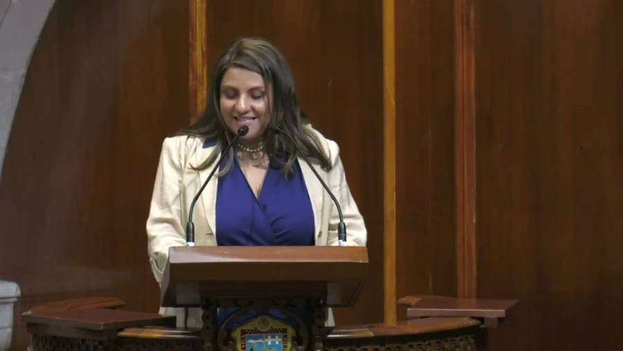 Mar&iacute;a Zareth Cruz Hern&aacute;ndez fungir&aacute; como presidenta de la diputaci&oacute;n permanente en EdoMex