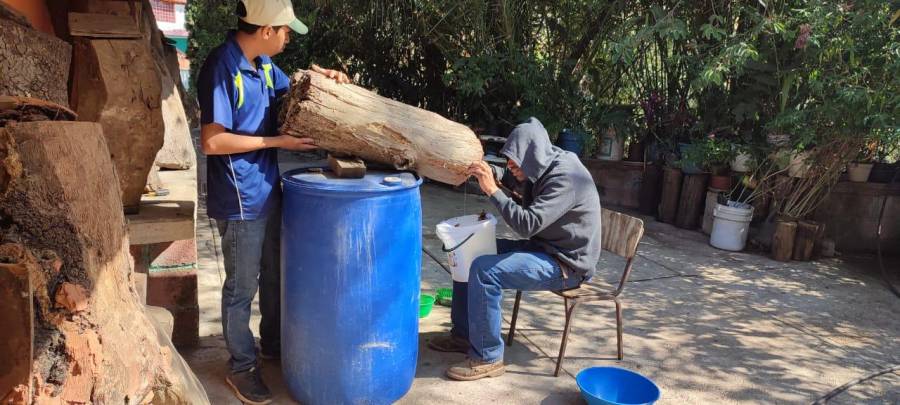 Estado de M&eacute;xico recupera la meliponicultura en municipios del sur de la entidad