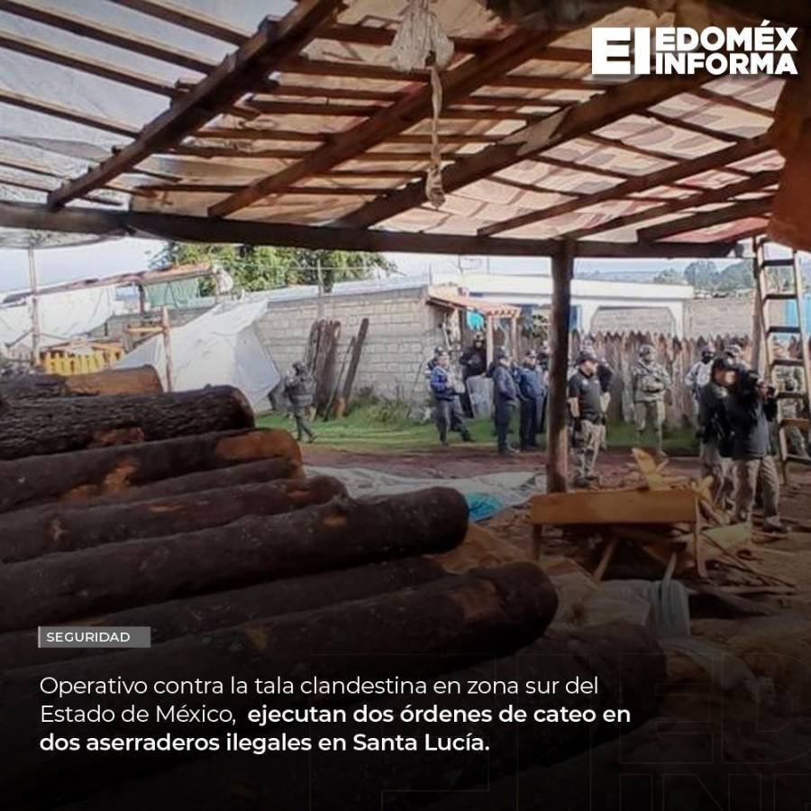 Instruye Delfina G&oacute;mez operativo contra la tala clandestina en zona sur del EdoM&eacute;x