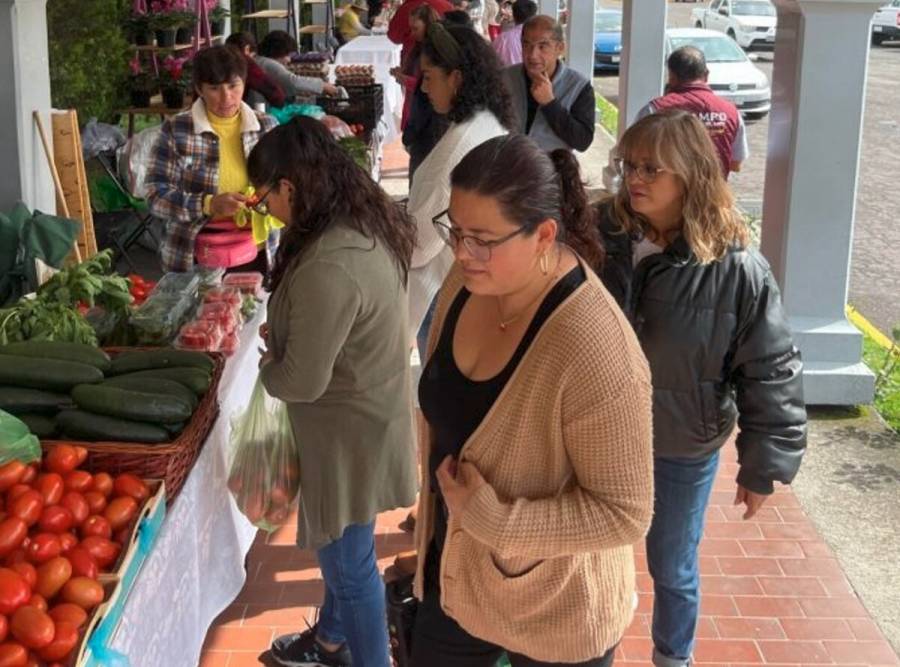 Secretaría del Campo impulsa comercio local a través de “Mi Tianguis Colibrí” itinerante