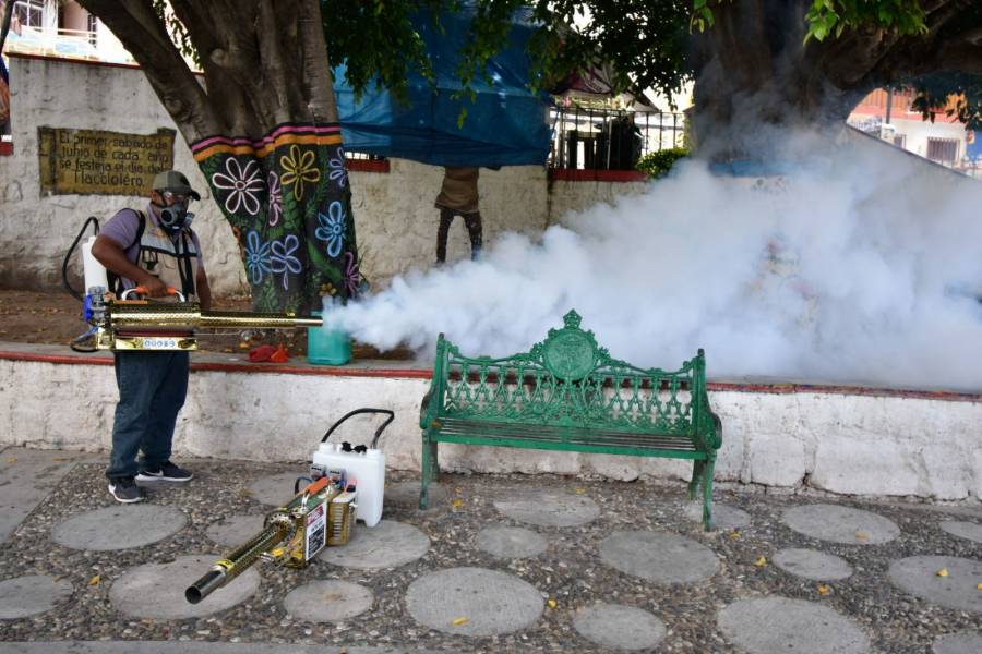 Intensifican prevención del dengue en el sur del Estado de México