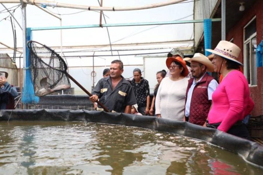 Activa GEM apoyos para invernaderos y piscicultores mexiquenses ante fen&oacute;menos climatol&oacute;gicos