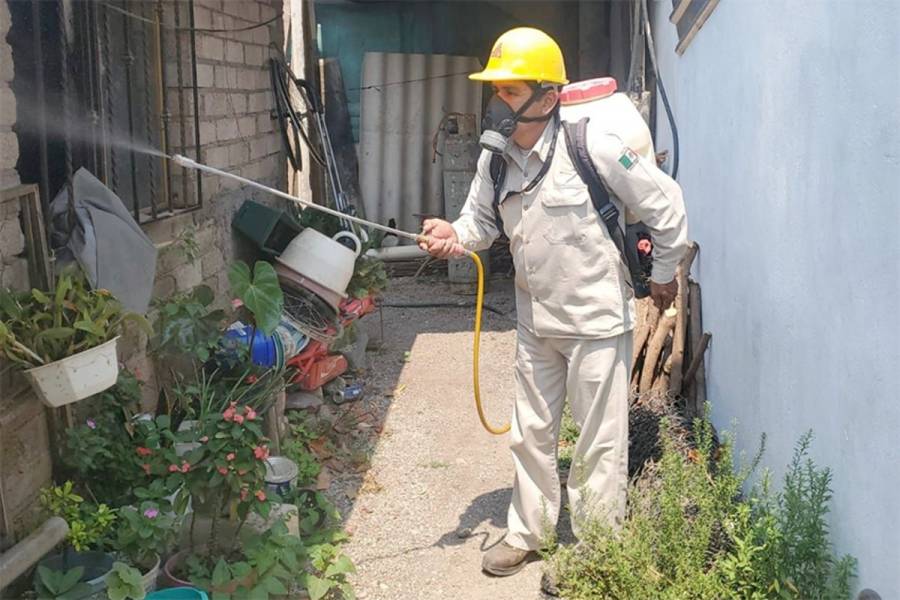 Edomex fortalece acciones para combatir el dengue en la zona sur del estado