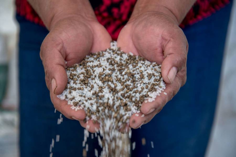 Convenio en el Edomex facilita trámites a productores rurales y mujeres indígenas