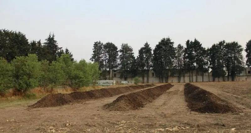 Edomex impulsa la agroecolog&iacute;a con composta de residuos de hongos