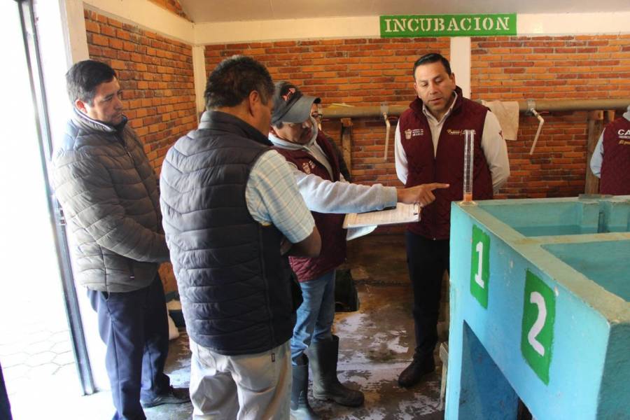 EdoM&eacute;x se pone trucha y entrega 14 mil huevos de pez arco&iacute;ris a productores