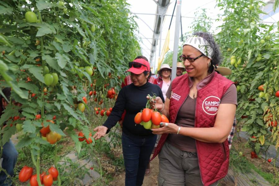 2024, el año de la transformación y el rescate del campo mexiquense