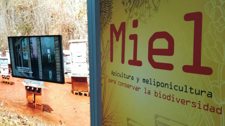 Visita la muestra “Producir Conservando” exposici&oacute;n de UNIVERSUM-COMECYT que promueve la diversidad biocultural y el consumo responsable
