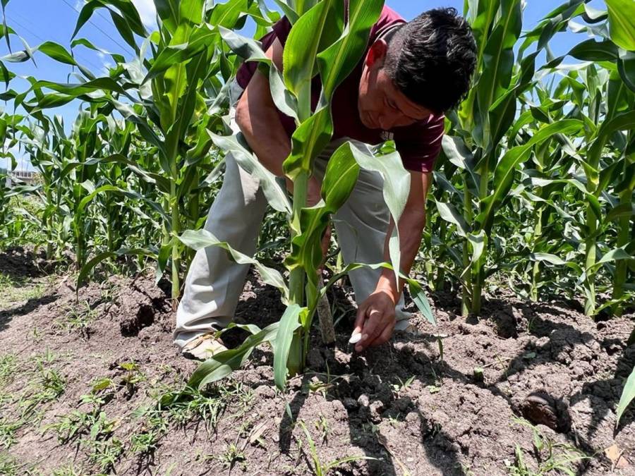 Edomex capacita a productores agropecuarios para ampliar su mercado