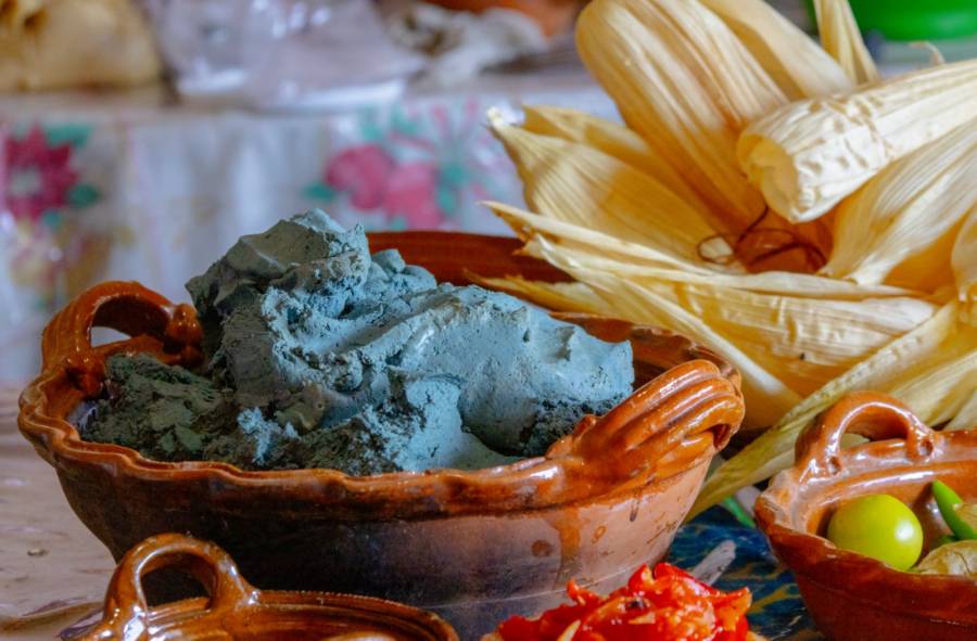 Tamales de maíz azul, una tradición en el Estado de México