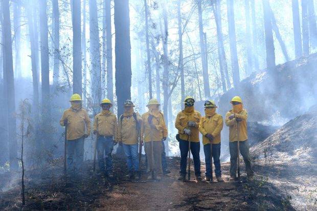 ¡Prevenir es mejor que combatir! EdoM&eacute;x listo para atender incendios forestales con brigadistas federales, estatales y municipales