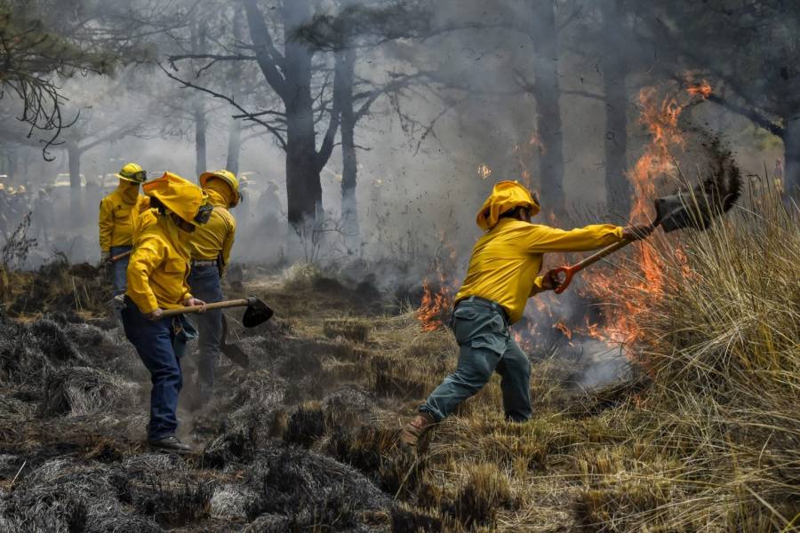 ¡Prevenir es mejor que combatir! Gobierno del EdoMéx reduce incendios en 56% con estrategia de prevención