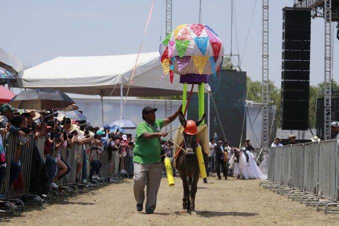 Aparta este fin de semana para disfrutar de las ferias, festivales y eventos de turismo deportivo que habr&aacute; en el EdoM&eacute;x
