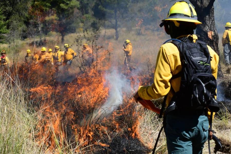 Reconoce Probosque vocación y entrega de las y los brigadistas de incendios forestales en el EdoMéx