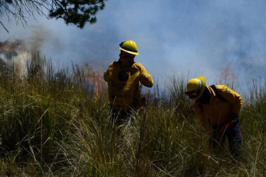 Reconoce Probosque vocación y entrega de brigadistas de incendios forestales en el Edomex