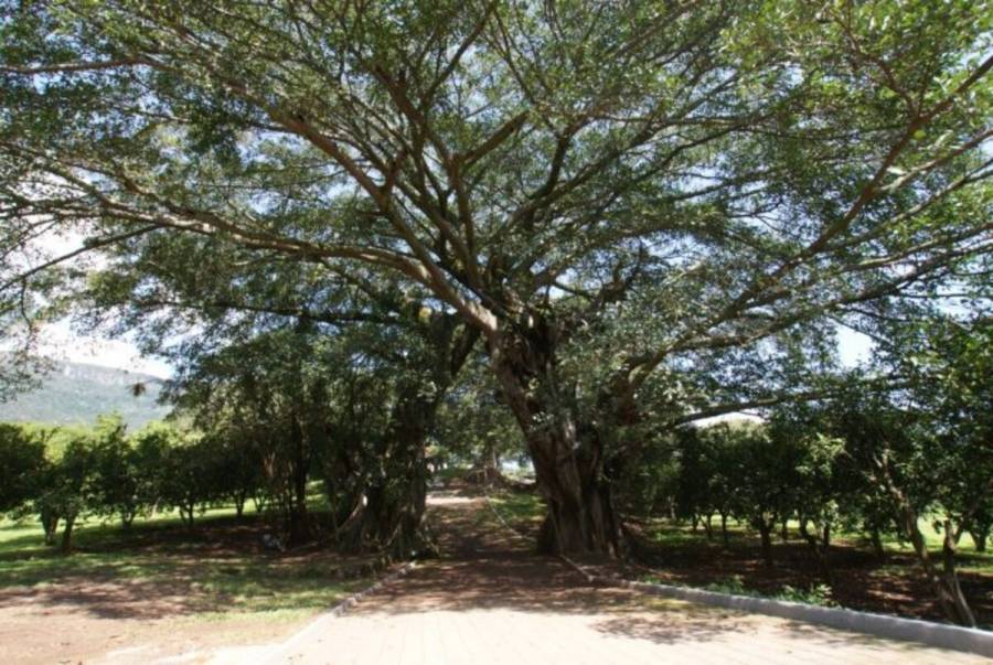 Promueve GEM el ecoturismo responsable a través de la red de parques recreativos en el Edomex