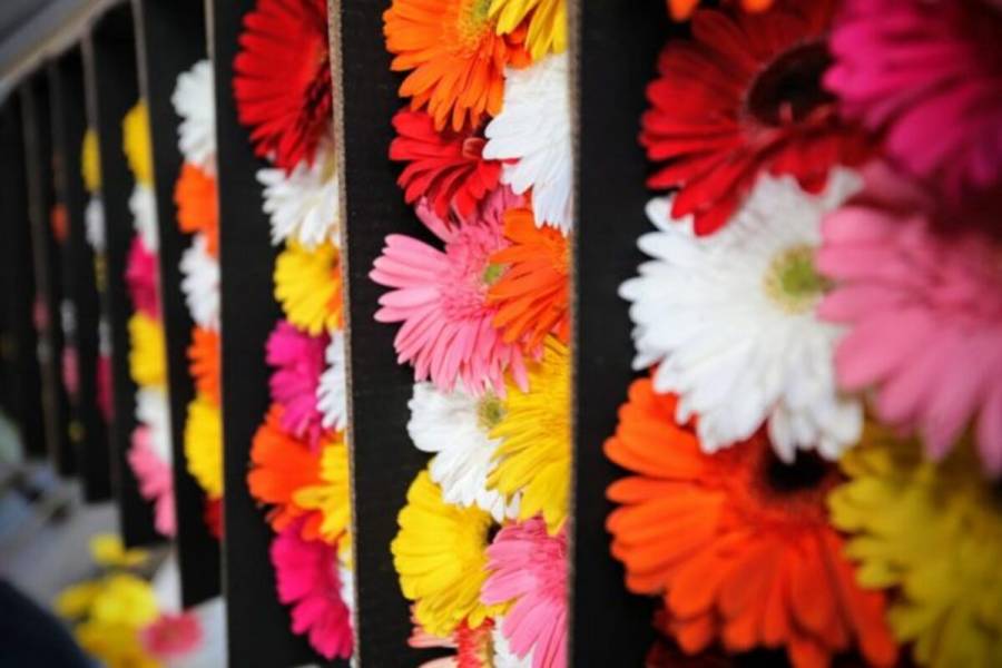 ¡Este 10 de mayo, regala flores mexiquenses! Abastece Edomex el 80% de la demanda nacional
