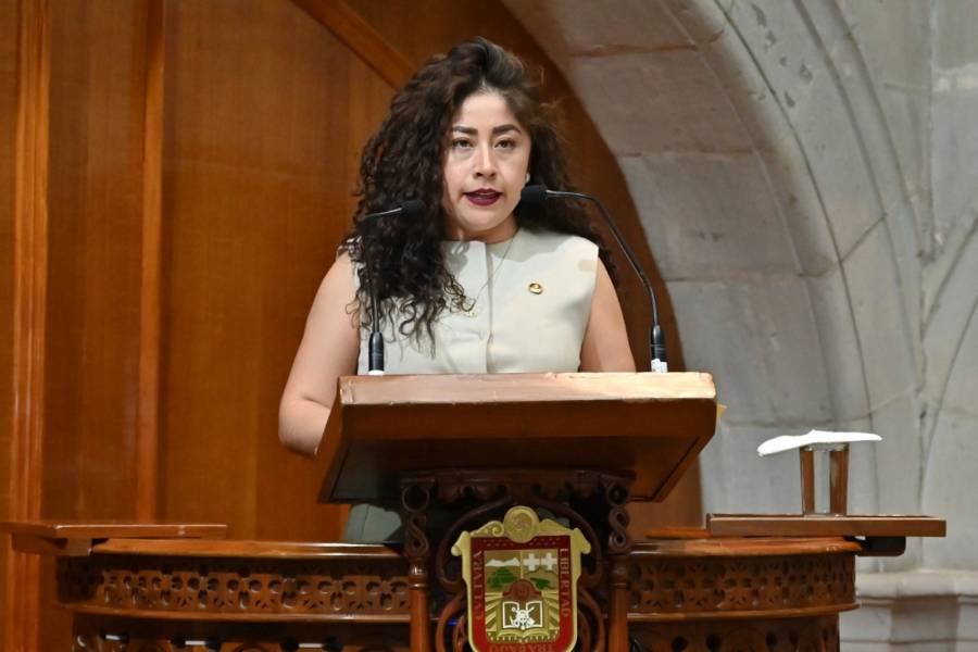 Gratuidad en transporte a grupos vulnerables: propone Sofía Martínez