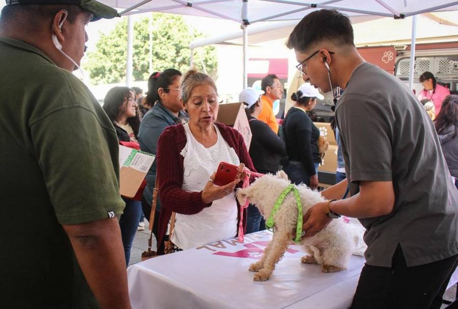 Caravana por el Bienestar Animal llega a Tonatico en mayo
