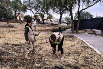 Reforestan Cepanaf y Probosque el Parque de la Ciencia Tlalnepantla