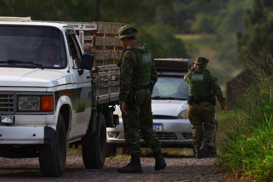 Gripe aviar: M&eacute;xico tambi&eacute;n suspende importaciones de pollo brasile&ntilde;o