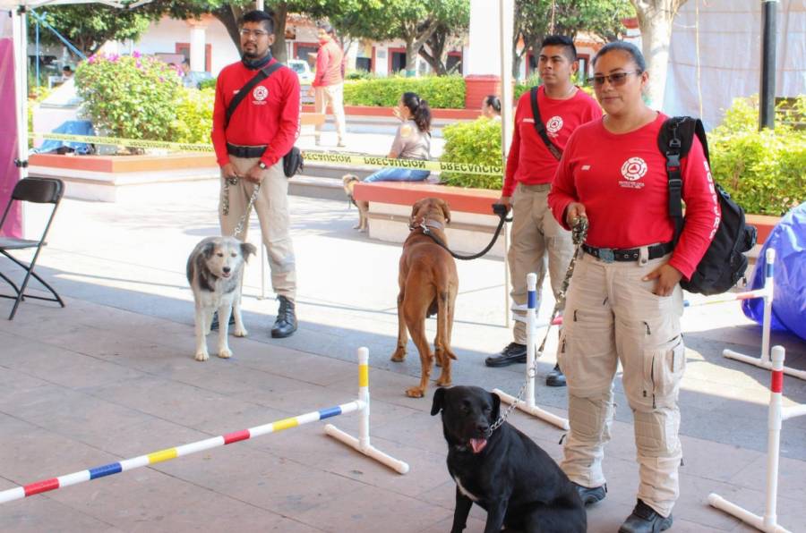 Transforma Cepanaf la vida de 500 lomitos y michis en Tonatico a través de la Caravana por el Bienestar Animal