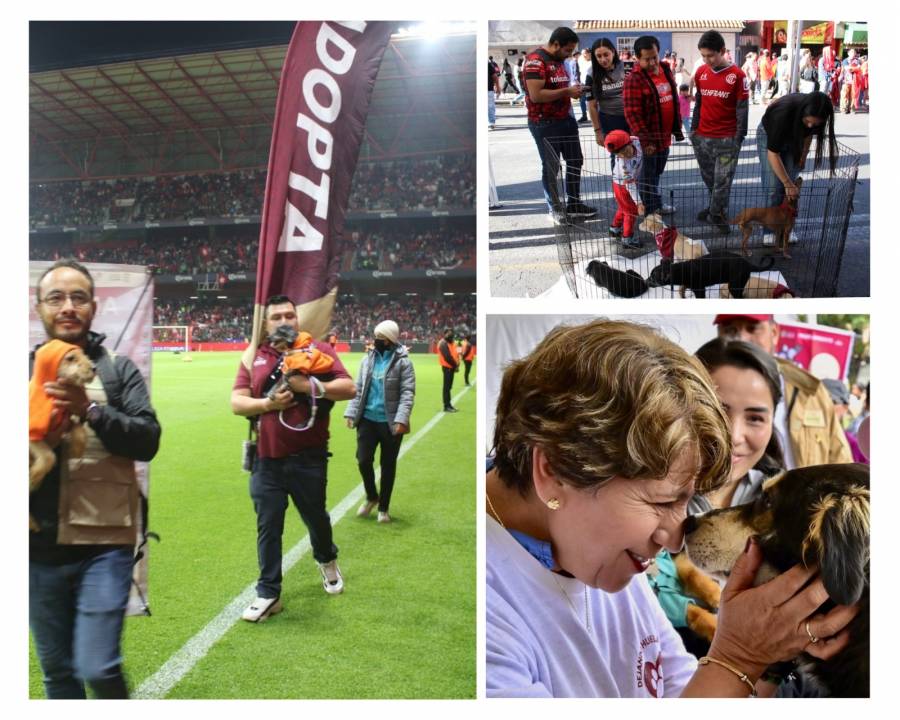 “La mejor jugada es adoptar”, en la final Toluca vs América