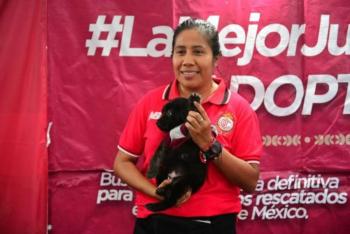 ¡Campeones dentro y fuera de la cancha! 85 lomitos conquistan un hogar con “La Mejor Jugada es Adoptar”