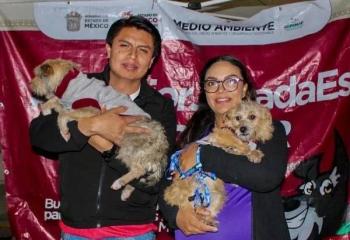 Iniciativa “La Mejor Jugada es Adoptar” suma 348 adopciones en Edomex