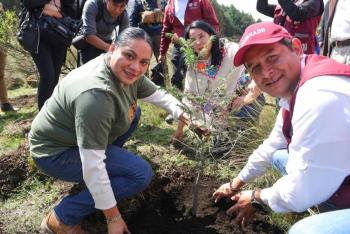 Alista EdoMéx reforestación; plantará más de 450 mil árboles en 24 municipios con zonas boscosas