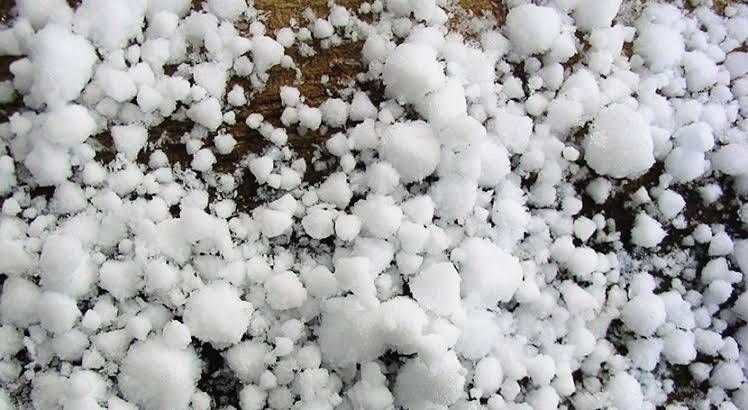 Granizada en Toluca colapsa árboles y anega viviendas en San Pablo Autopan