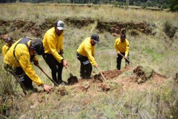 Capacita Probosque a 350 personas para recuperar los ecosistemas en zonas boscosas en Temoaya