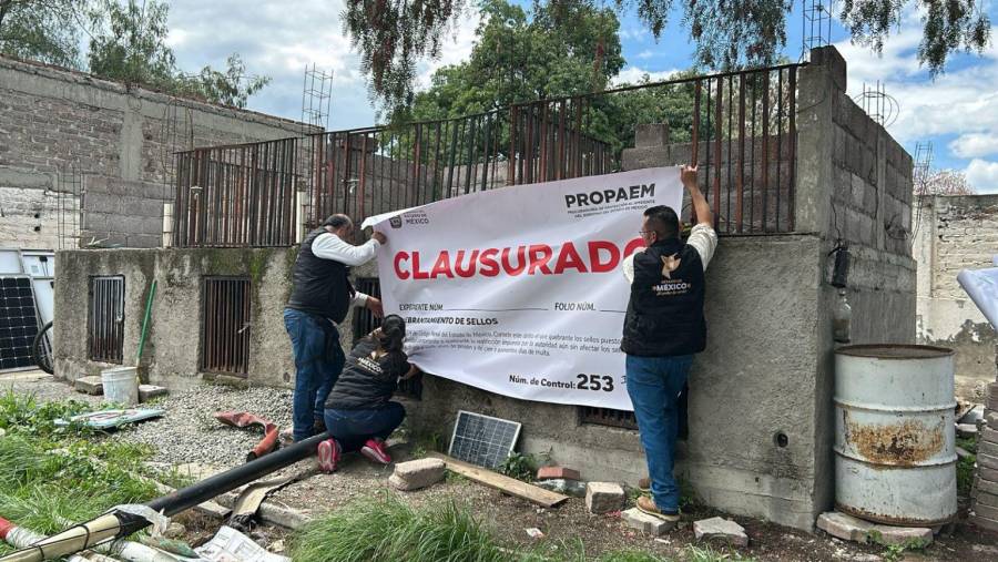 Clausura Gobierno del Estado de México inmueble en Teotihuacán tras denuncia por maltrato animal