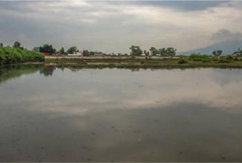 Limpian presa El Ángulo en Cuautitlán Izcalli; retiran basura equivalente a 6 estadios Azteca