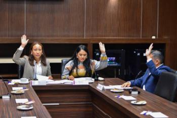 Sin certeza de direcciones indígenas en 18 municipios: Leticia Mejía