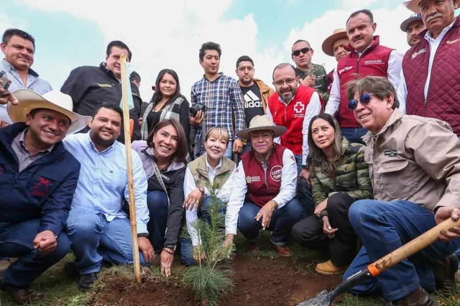Estado de México lanza estrategia para reforestar cinco mil hectáreas en 2025