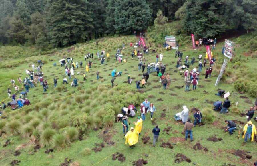 Restaurar no es solo reforestar: Edomex impulsa recuperación integral de ecosistemas