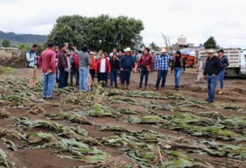 Levanta GEM censo en Santiago Tianguistenco; dará apoyos de hasta 12 mil pesos a productores