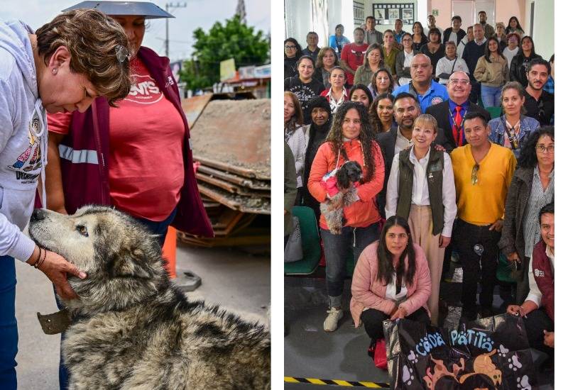 Presenta gobierno del Edomex CERR, estrategia para atender sobrepoblaci&oacute;n de perros y gatos