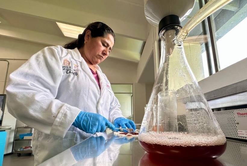 Impulsan an&aacute;lisis cient&iacute;ficos en el campo mexiquense con laboratorios del ICAMEX