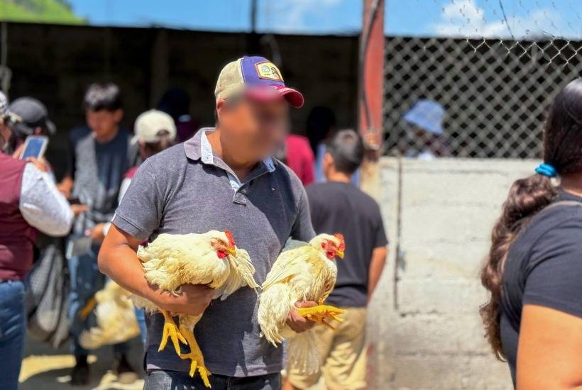 Concluye entrega de bienes asegurados durante Operaci&oacute;n “Liberaci&oacute;n” en el sur del Edomex