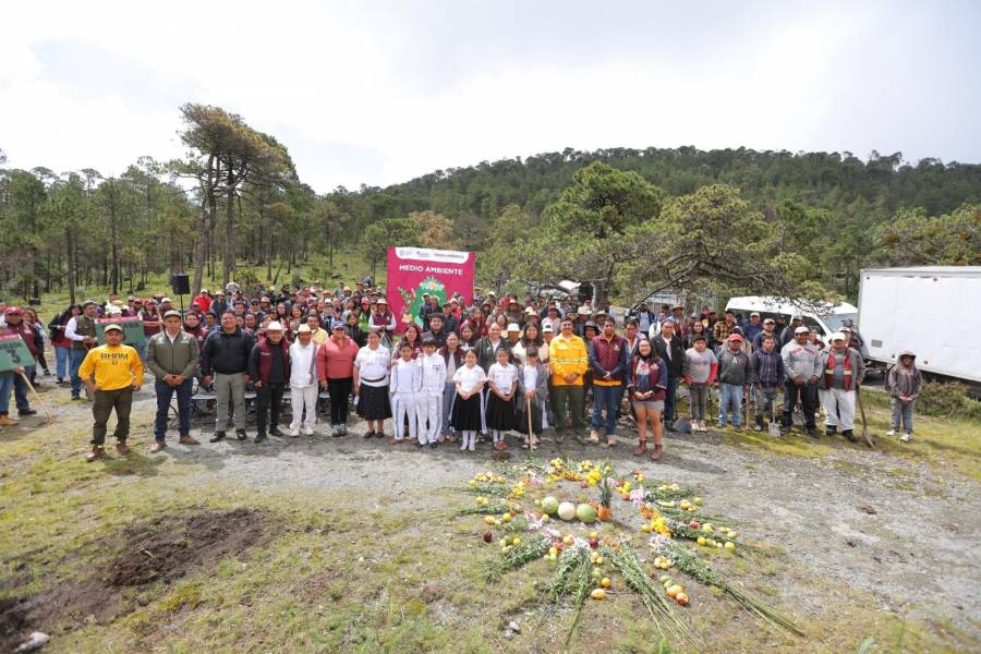Recupera GEM con comunidad otom&iacute; bosques de Temoaya; plantan 700 &aacute;rboles en zona afectada por incendios forestales